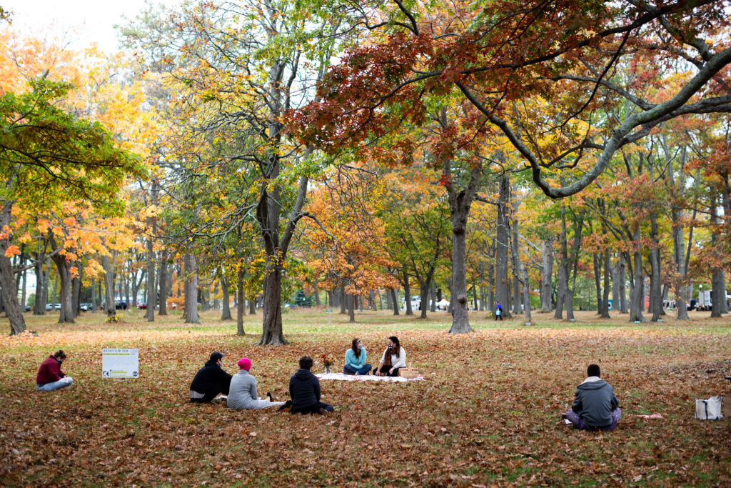 photo of a daytime park with turning leaves and groups of people sitting on blankets