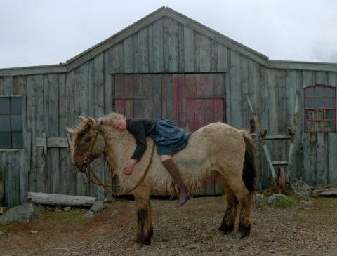 a girl lays on a small horse in front of a barn