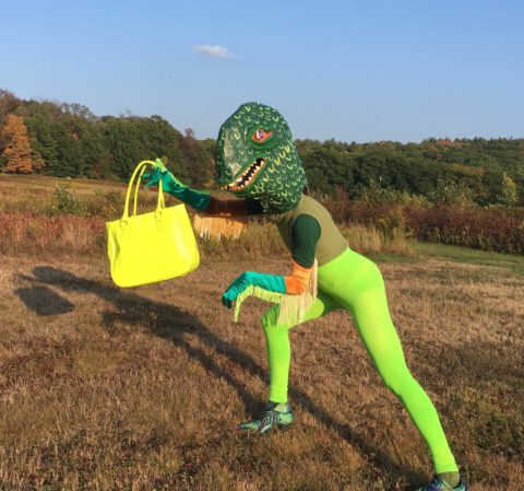 An image of a human dressed as a green reptile with neon stockings and a yellow handbag in a grassy landscape.