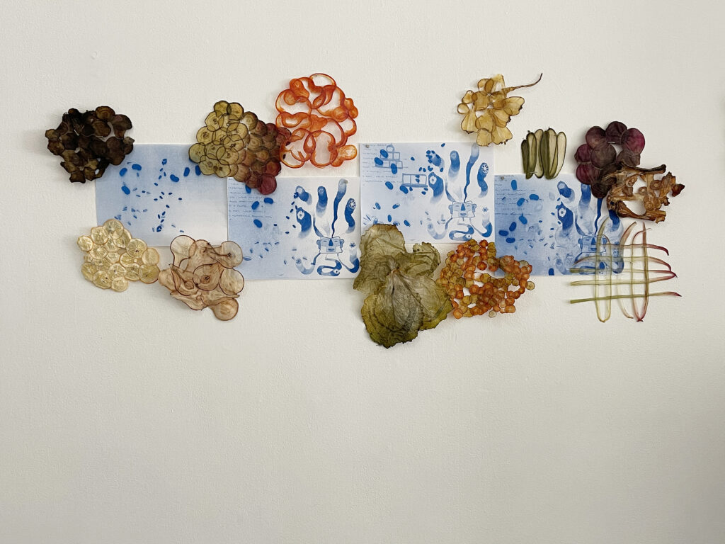 Blue riso prints mounted on the wall with pressed vegetal and dried fruit in small paper like strips, an installation by Flor Cron.