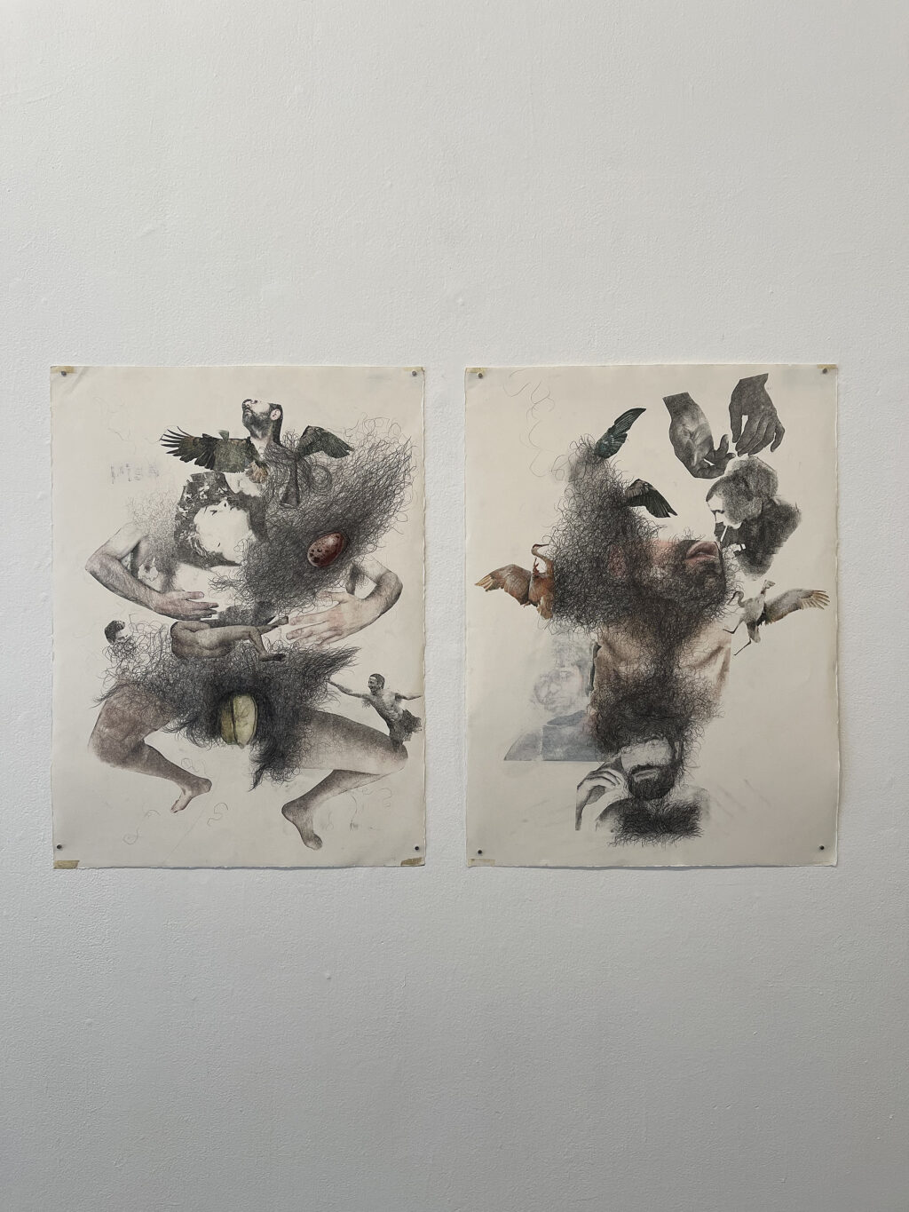 Drawings and prints by Oscar Chacon featuring the body and body hair turning into nest like tangles.