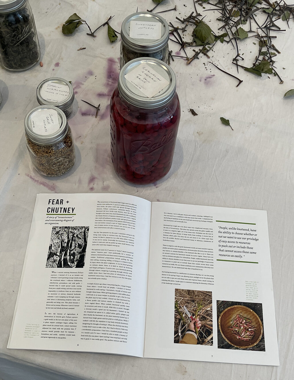 A photo of a table with foraged foods in jars and a book open that says "Fear and Chutney" by Rachel Alexandrou.