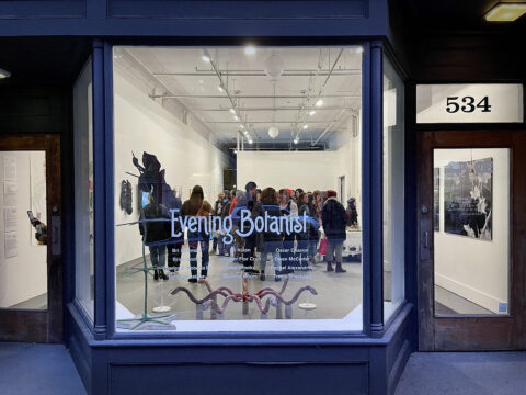 An image of the SPACE gallery through the window of the Street with the words "Evening Botanist" on the window and silhouettes of people.