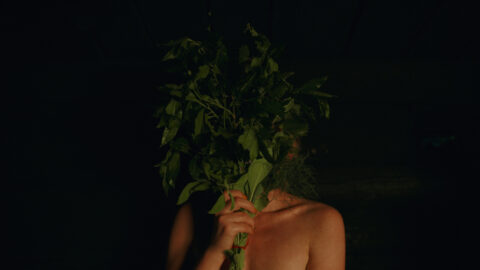 a person holds a bundle of leaves in front of their face against a stark black background
