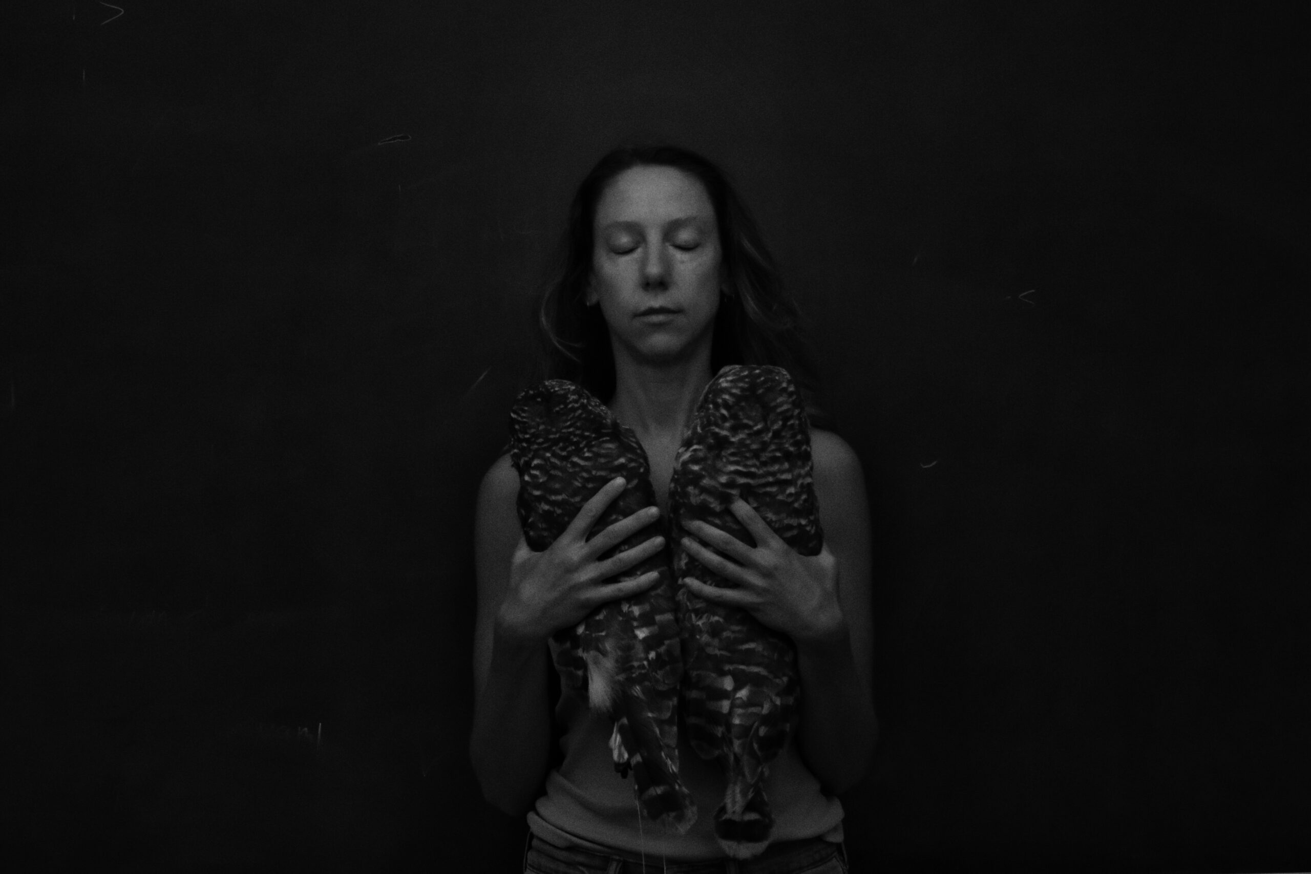elegy-for-barred-owls-space