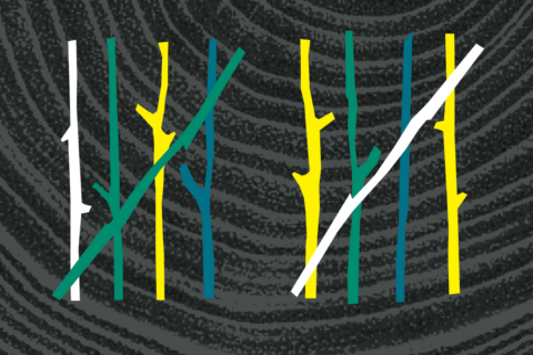 The Kindling Fund logo with a series of twigs