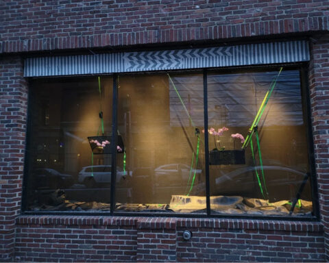 An image of the SPACE window gallery with an installation by Luke Myers containing a carbon fiber planter box, an orchid, and a video loop of the same orchid.