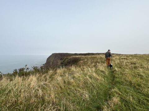 Wildflower's Adrian O'Barr in a seaside field by a rocky outcropping.