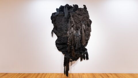 an image of an installation of artificial hair mounted on a gallery wall by Veronica Perez titled who’s gonna take care of me...when you die?, 2023, artificial hair, bobby pins 125” x 96” x 27