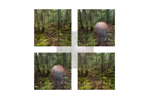 a portrait of a person in the woods separated into four quadrants and its subject blurred