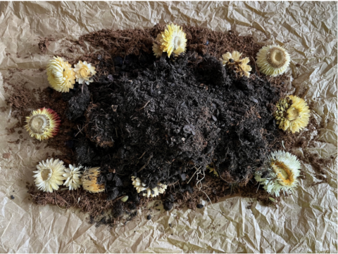a photograph image of an Andean ceremonial offering of flowers and dirt, made in reciprocity, reverence, and thanksgiving