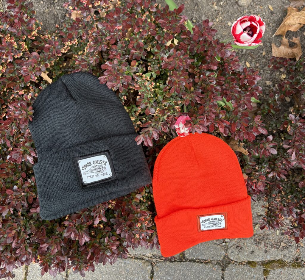 A black and orange hat with a SPACE patch among bushes and flowers outside. 