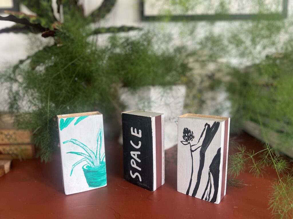 Three match boxes, two with paintings of plants and one with SPACE painted on it, on a tabletop with house plants. 