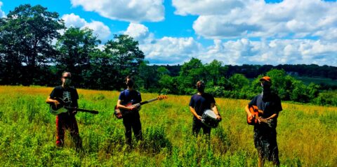 Snaex standing in a field with their instruments, a big blue sky of picture perfect clouds behind them.