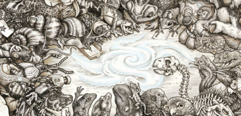 A group of a Beehive Collective print. A horse of animals circle of around a swirling mass of clouds.