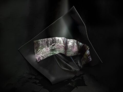 Kate Greene's Forest study no. 5 (Freetown-Fall River, Ma), 2023 Archival inkjet print 28 x 36 inches