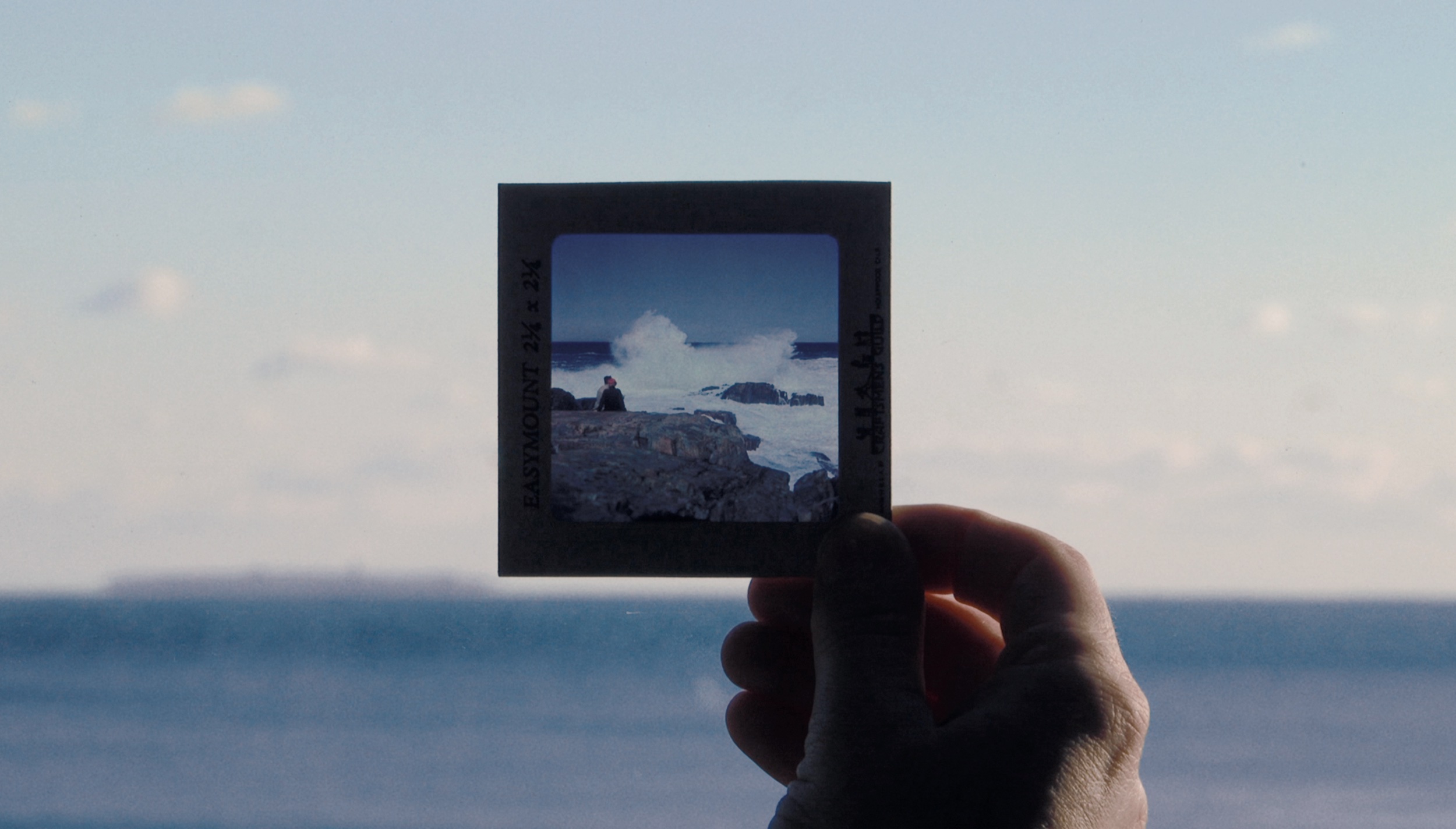 Shoreline Shorts [encore screening] – SPACE