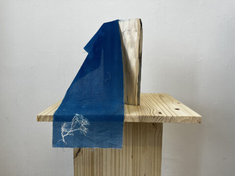 A blue cyanotype fabric print of a plant is draped over a sculpture on a wooden base.