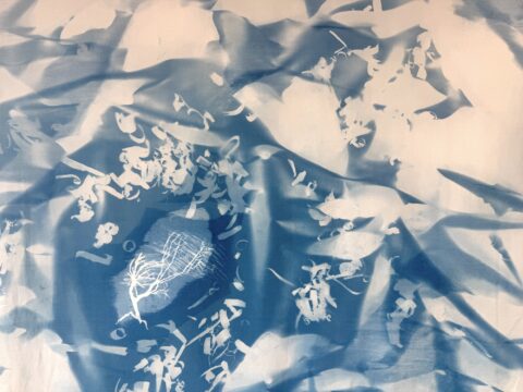 An abstract detail of a cyanotype with many sizes and shapes of white silhouettes scattered around.